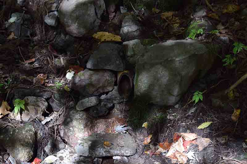 紅葉の化粧水