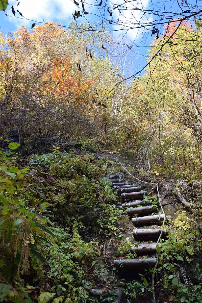奥の岩屋参道階段