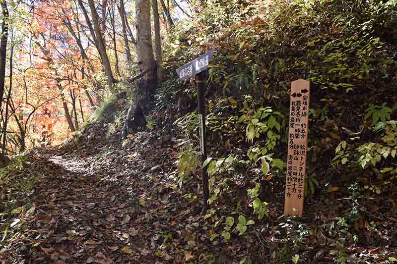 紅葉の岩屋から林道へ