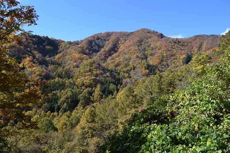 荒倉山の山並み